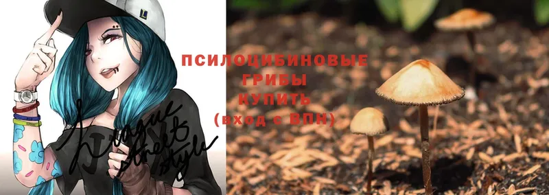 mega вход  Кировск  Галлюциногенные грибы MAGIC MUSHROOMS 